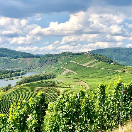 Апартаменты Haus Am Ufer Mit Rheinpanoramablick Кобленц Экстерьер фото