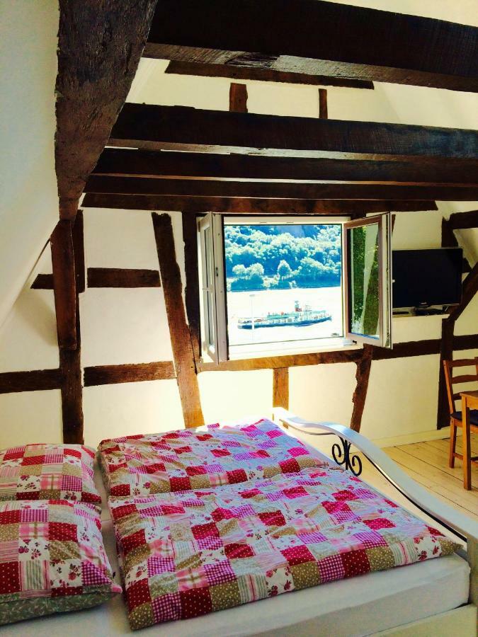 Апартаменты Haus Am Ufer Mit Rheinpanoramablick Кобленц Экстерьер фото