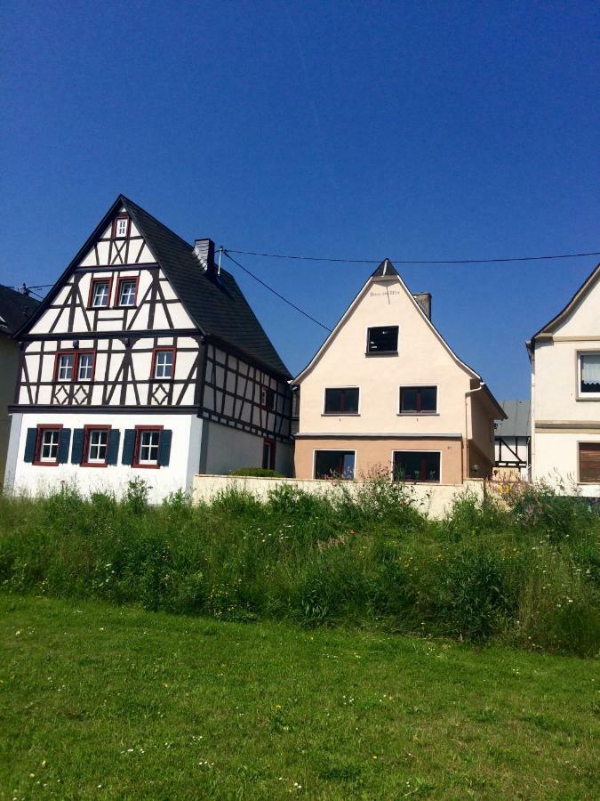 Апартаменты Haus Am Ufer Mit Rheinpanoramablick Кобленц Экстерьер фото