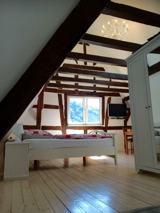 Апартаменты Haus Am Ufer Mit Rheinpanoramablick Кобленц Экстерьер фото