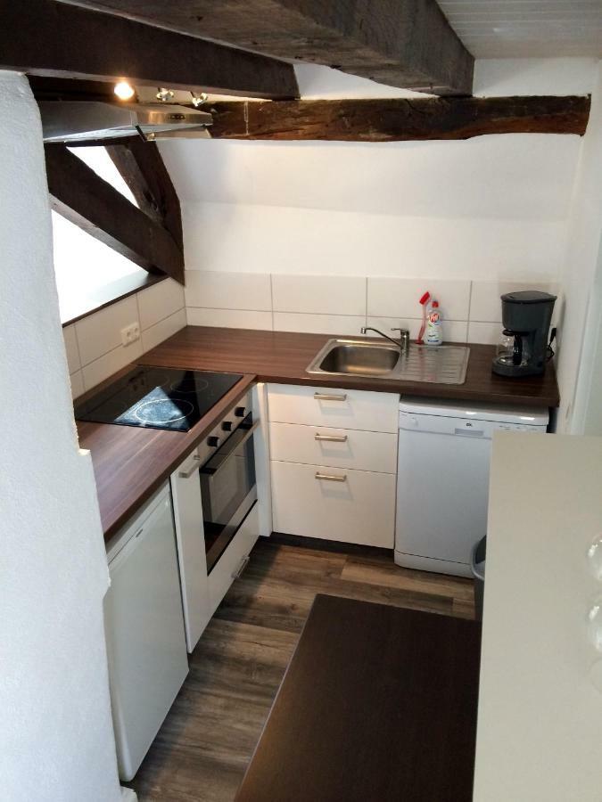 Апартаменты Haus Am Ufer Mit Rheinpanoramablick Кобленц Экстерьер фото