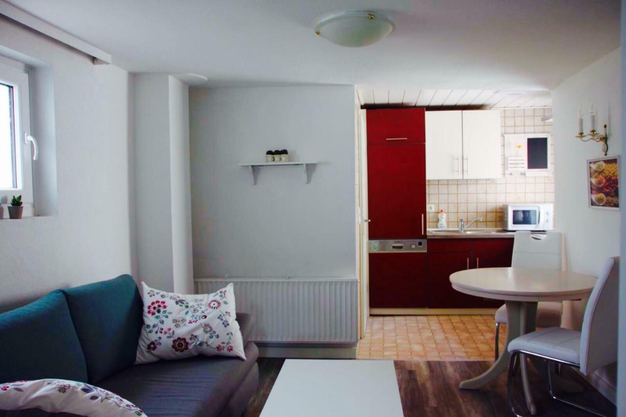 Апартаменты Haus Am Ufer Mit Rheinpanoramablick Кобленц Экстерьер фото
